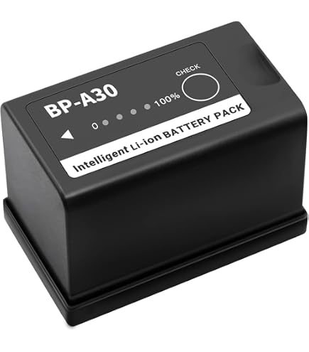 Amazon.com : Canon BP-A30N Battery Pack : Electronics